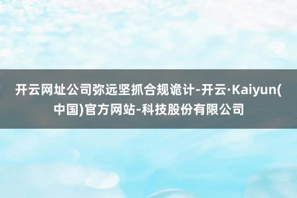 开云网址公司弥远坚抓合规诡计-开云·Kaiyun(中国)官方网站-科技股份有限公司